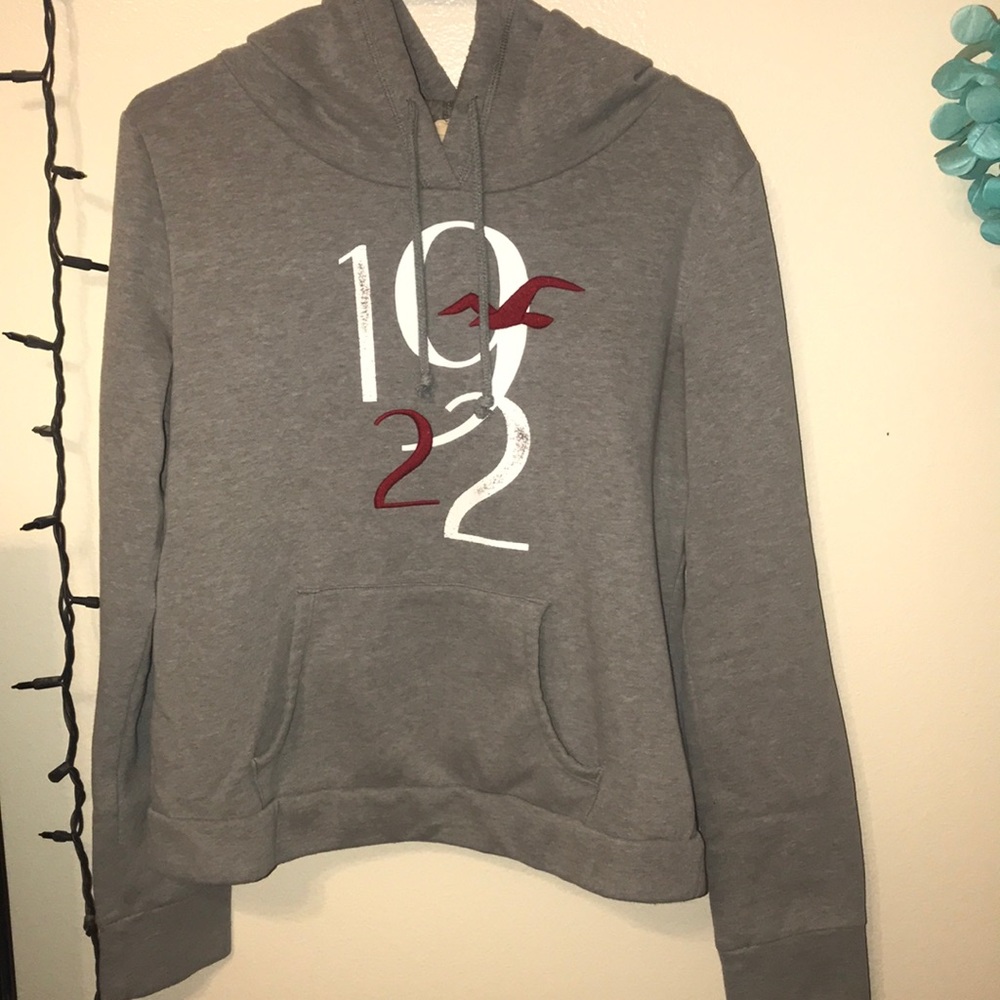 Hollister hoodie